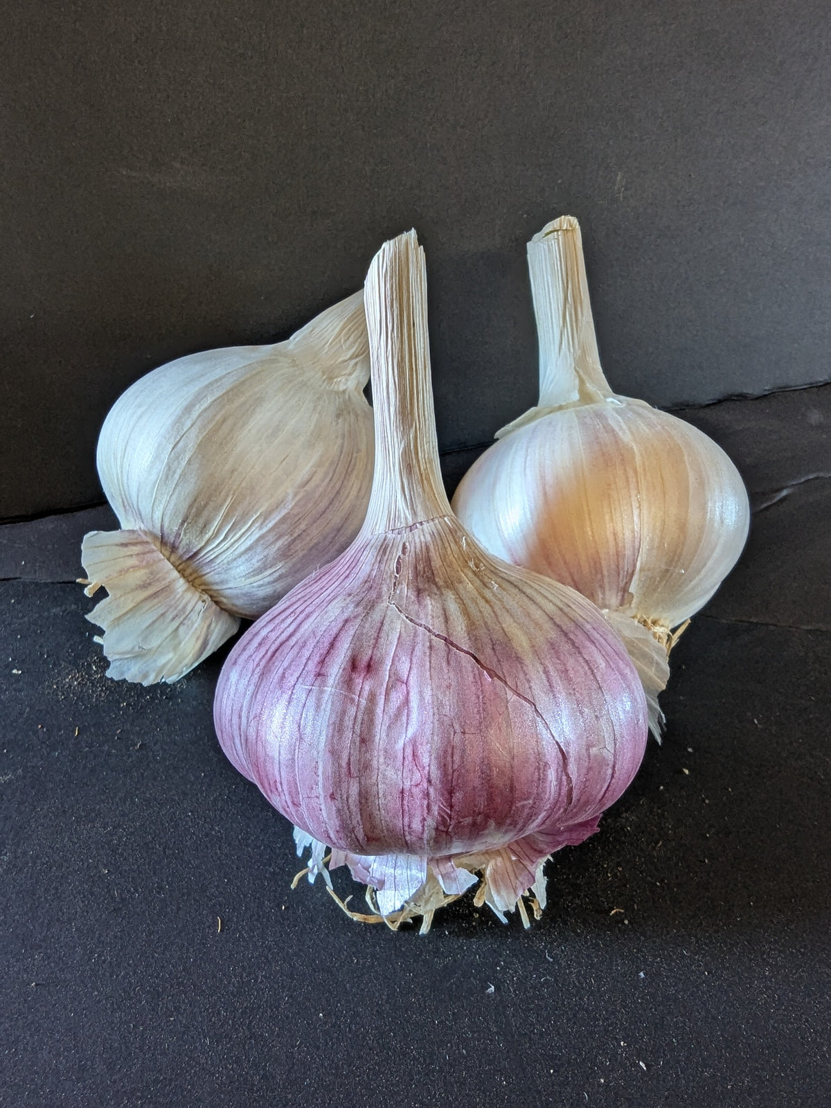 Hardneck Garlic pantry pack