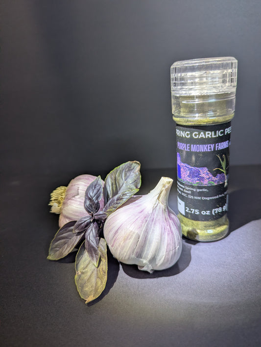 Spring garlic pesto