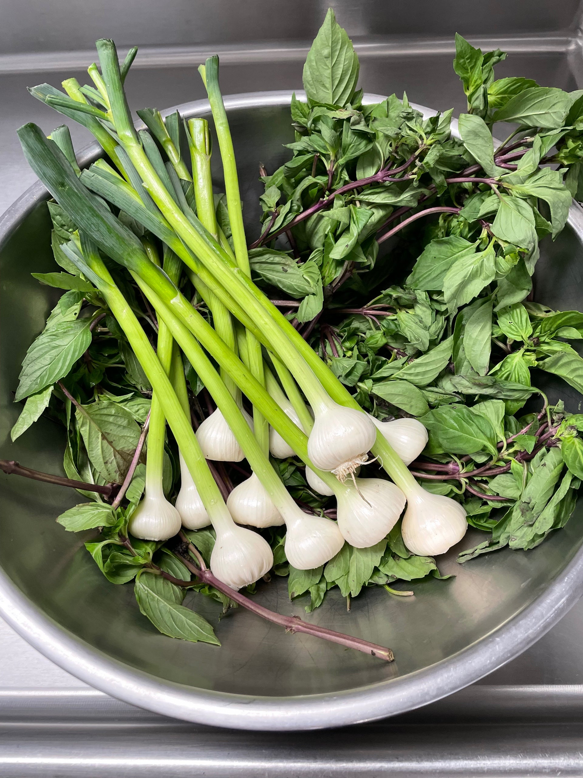 Spring garlic pesto