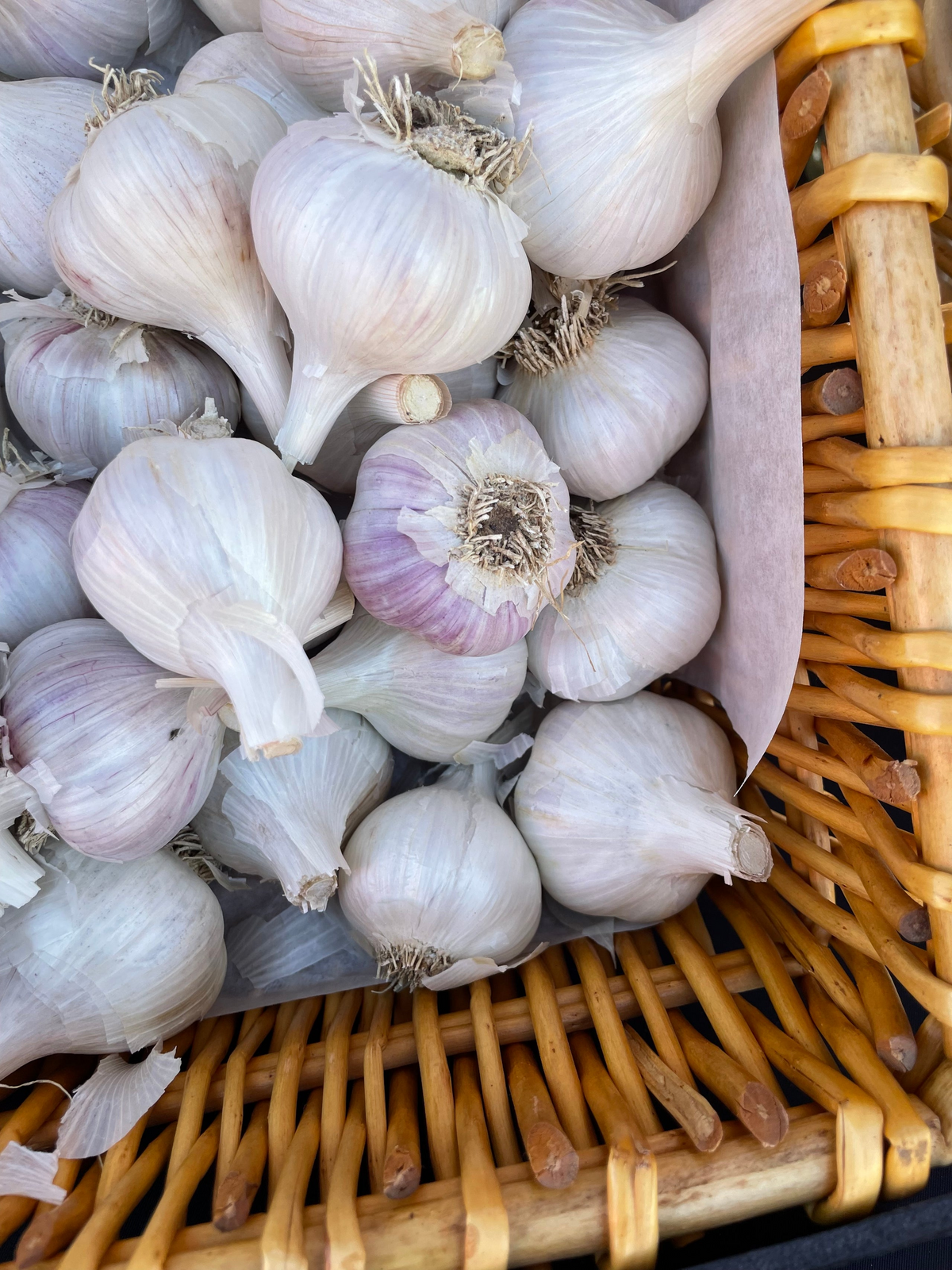 Garlic Powder 2.25 Oz (Choose from grinder, refill or giftpacks)